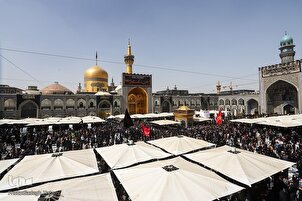 تقرير مصور | أجواء الحرم الرضوي في ذكرى إستشهاد الإمام الرضا (ع)