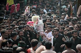 محرم در جهان به روایت دوربین