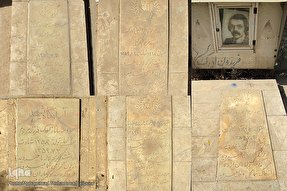 عکس | دایره‌المعارف‌های خاکی