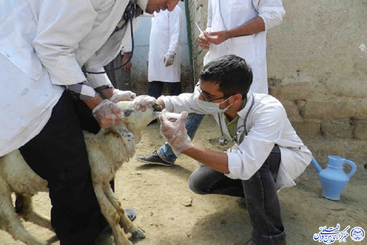 اعزام 6 گروه جهادی دامپزشکی به روستاهای محروم خراسان شمالی