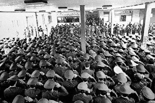 کمر پهلوی شکست + فیلم