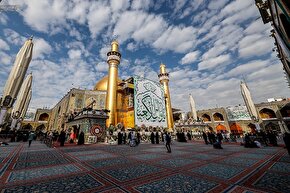 فیلم | شهد هستی حیدر است...