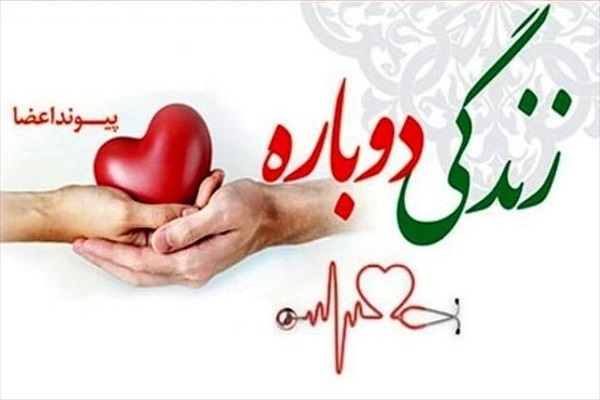اهدای عضو اهدای عضو