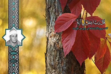 فیلم | قطعه‌ای از تلاوت شنیدنی سوره مریم با صدای «زناتی»