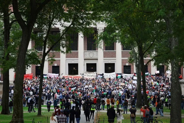 60 درصد نسل Z آمریکا حماس را بر اسرائیل ترجیح می‌دهند