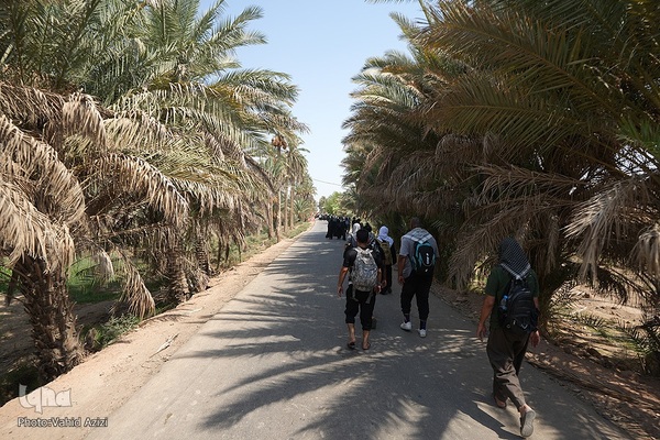 پیاده روی اربعین حسینی در منطقه طریق العلما و زرگه نجف به کربلا