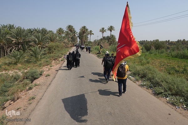 پیاده روی اربعین حسینی در منطقه طریق العلما و زرگه نجف به کربلا