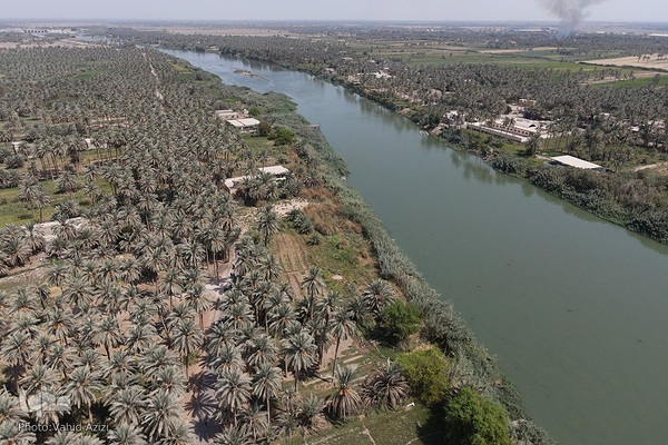 پیاده روی اربعین حسینی در منطقه طریق العلما و زرگه نجف به کربلا