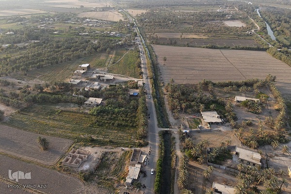 پیاده روی اربعین حسینی در منطقه طریق العلما و زرگه نجف به کربلا