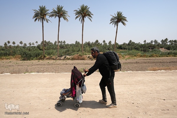 پیاده روی اربعین حسینی در منطقه طریق العلما و زرگه نجف به کربلا