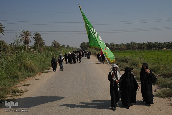 پیاده روی اربعین حسینی در منطقه طریق العلما و زرگه نجف به کربلا