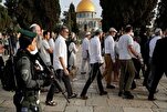 Le plan dangereux du régime sioniste dans la judaïsation de la mosquée Al-Aqsa