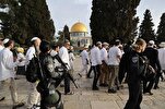 Des colons sionistes prennent d'assaut Al-Aqsa