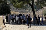 Des colons sionistes profanent Al-Aqsa