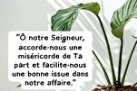 La miséricorde divine