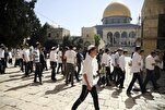 Les sionistes profanent encore une fois Al Aqsa