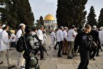 Nouvelle attaque des colons sionistes contre Al Aqsa