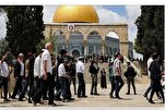 Lebih dari 58.000 Pemukim Serbu Masjid Al-Aqsa dalam Satu Tahun