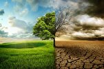 Estudioso Cita os Ensinamentos do Profeta sobre Proteção Ambiental