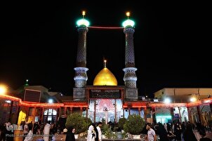 德黑兰阿卜杜阿齐姆·哈桑尼陵园举行穆哈拉姆月哀悼仪式